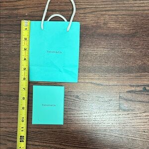Tiffany & Co. Robin's-Egg Blue Gift Bag and Box Set